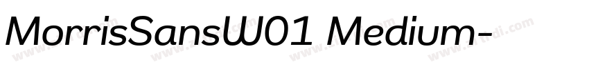MorrisSansW01 Medium字体转换